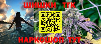 крисы Малгобек