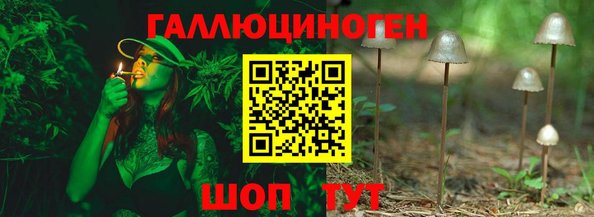 Галлюциногенные грибы прущие грибы Добрянка